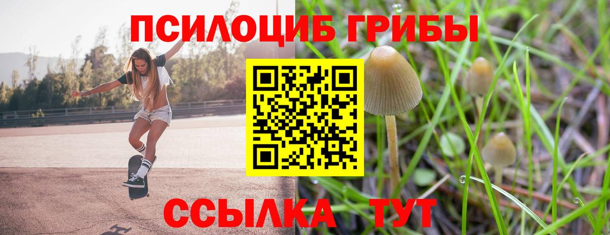 Псилоцибиновые грибы MAGIC MUSHROOMS  Псилоцибиновые грибы Psilocybine cubensis  Вход с VPN  Отрадный 