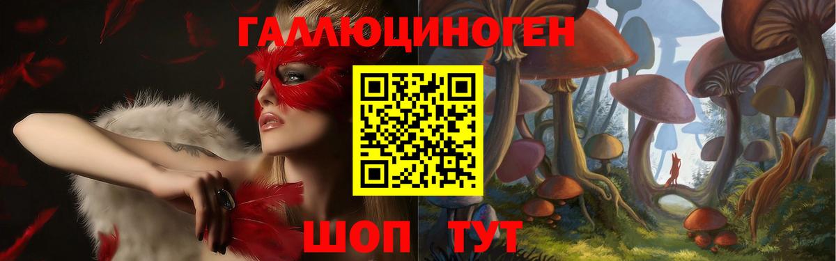 Псилоцибиновые грибы прущие грибы Отрадный